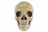 Realistic, Polished Chohua Jasper Skull #382018-1